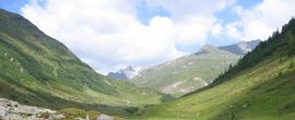 Almrosen-Wanderwochen – der Rausch in Rosé